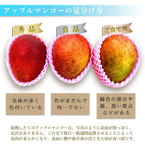 マンゴー 4kg(8-16玉) 【ご自宅用】 沖縄県産 宜野座村産 送料