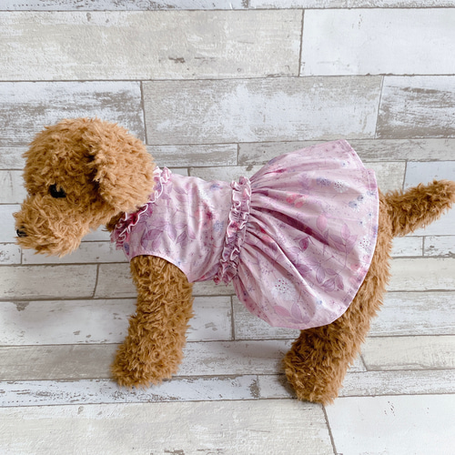 犬の洋服✨リバティ ギャザーフリル付き春夏ワンピース 犬服 ペット服 