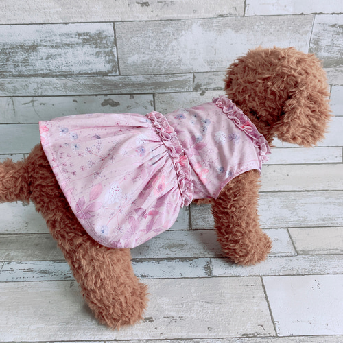 犬の洋服✨リバティ ギャザーフリル付き春夏ワンピース 犬服 ペット服 