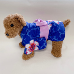 犬の本格浴衣✨犬用本染浴衣 ブルー 犬服 夏 8枚目の画像