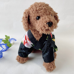犬の浴衣✨犬用本格浴衣 本染 ブラック 犬服 夏 6枚目の画像