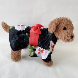 犬の浴衣✨犬用本格浴衣 本染 ブラック 犬服 夏 9枚目の画像