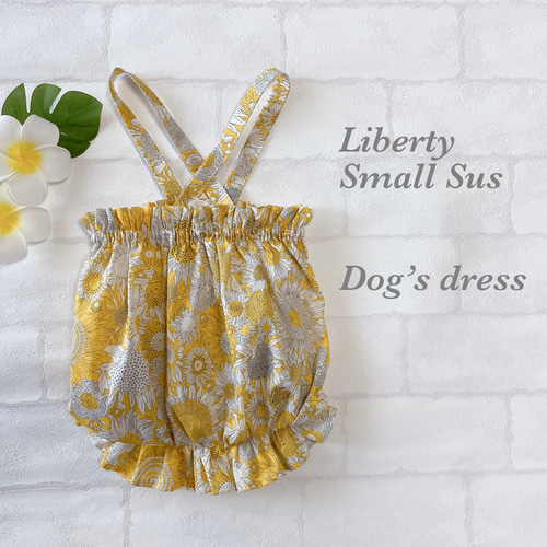 ハンドメイド　犬服　サイズS メッシュ　キャミバルーン　ワンピース ハンドメイド♡犬服 苺×水色のバルーンキャミワンピース - メルカリ