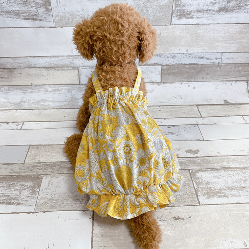 犬の洋服✨リバティ スモールサス 犬用キャミソール バルーン