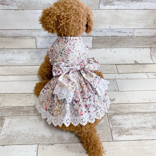 犬の洋服✨リバティ 犬服 レース付きワンピース わんこ服 春夏