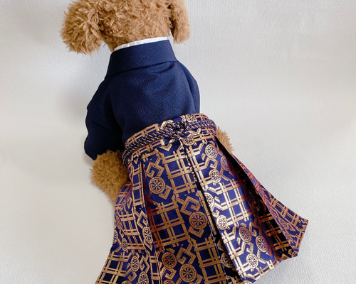 犬の袴✨犬用本格着物&袴 紺 金蘭 Mサイズ 完成品 犬服