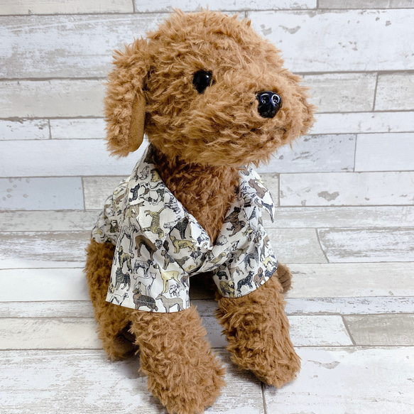 犬の洋服✨リバティ ベストインショー 犬用半袖シャツ 犬服 ベージュ 4枚目の画像