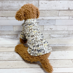 犬の洋服✨リバティ ベストインショー 犬用半袖シャツ 犬服 ベージュ 5枚目の画像