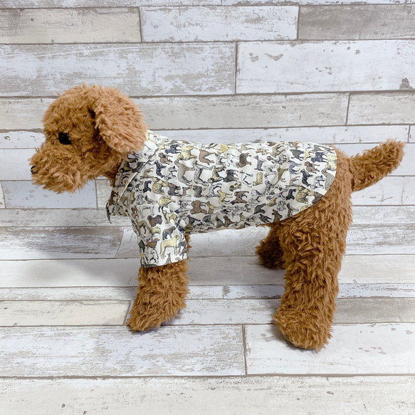 犬の洋服✨リバティ ベストインショー 犬用半袖シャツ 犬服 ベージュ 6枚目の画像