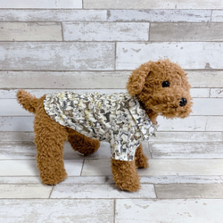 犬の洋服✨リバティ ベストインショー 犬用半袖シャツ 犬服 ベージュ 7枚目の画像