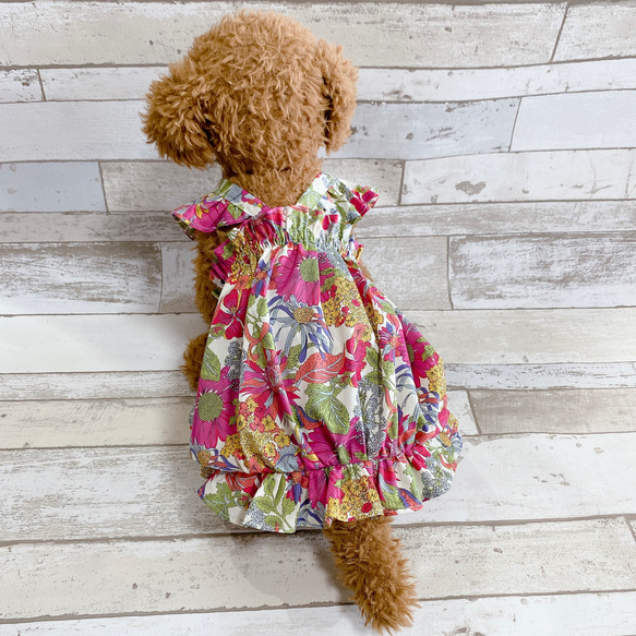 犬の洋服✨リバティプリント生地使用 犬用ワンピース 犬服 フリル付きバルーンキャミワンピース 4枚目の画像