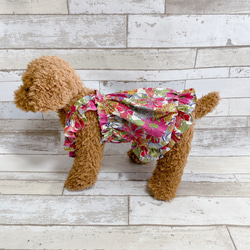犬の洋服✨リバティプリント生地使用 犬用ワンピース 犬服 フリル付きバルーンキャミワンピース 7枚目の画像