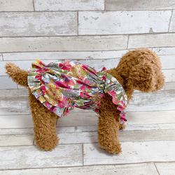 犬の洋服✨リバティプリント生地使用 犬用ワンピース 犬服 フリル付きバルーンキャミワンピース 8枚目の画像
