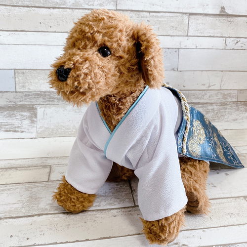 犬の袴✨犬用着物&袴 金蘭 白×水色 Mサイズ 一点物 ペット服 