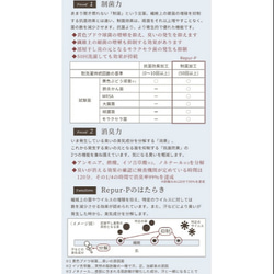  第5張的照片