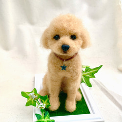 受注製作 》オーダー 犬♡うちの子製作♡羊毛フェルト♡トイ