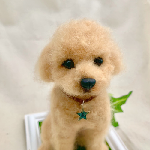 受注製作 》オーダー 犬♡うちの子製作♡羊毛フェルト♡トイ 受注製作 》オーダー 犬♡うちの子製作♡羊毛フェルト♡トイ
