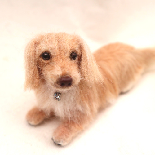 世界でたったひとつ》オーダー 犬♡うちの子製作♡羊毛フェルト