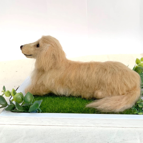 オーダー ダックスフンド 羊毛フェルトダックス♡うちの子そっくり