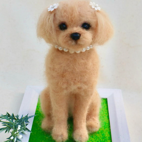 桜ちゃん様♡オーダー専用ページ 羊毛フェルト トイプードル