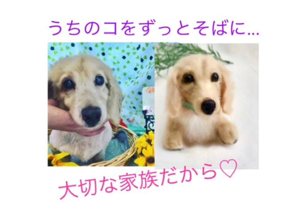 《受注製作》羊毛フェルト　犬♡うちの子製作♡オーダー 1枚目の画像