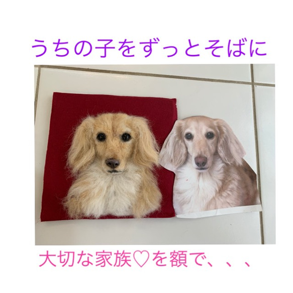 オーダー《受注製作》羊毛フェルト  愛犬製作♡うちのコ♡額入り　メモリアル　　記念 4枚目の画像