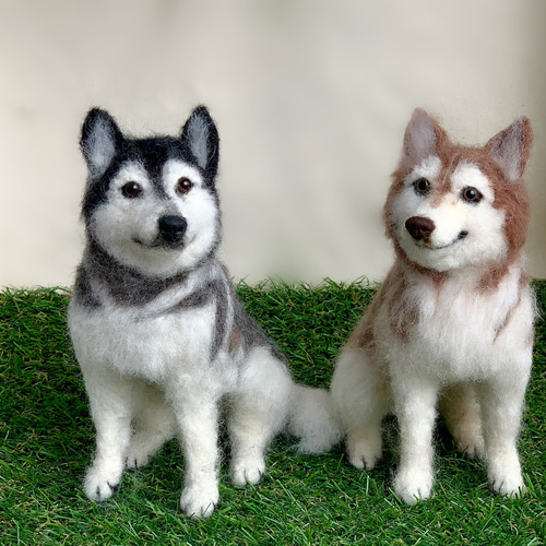 驚きの値段 オーダー 再現♡シベリアンハスキー♡うちの子みたい♡世界で 羊毛フェルト