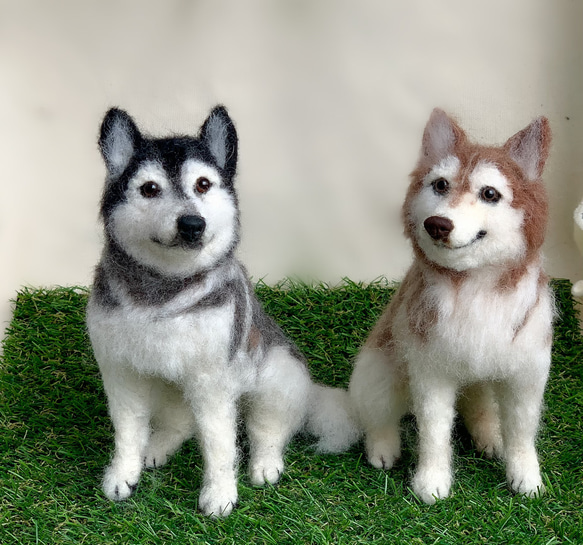シベリアン·ハスキー◇羊毛フェルト 犬 ハンドメイド 舌出し