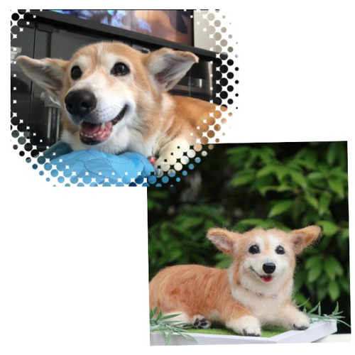 うちのコみたい♡世界で一つのコーギー♡羊毛フェルト 犬