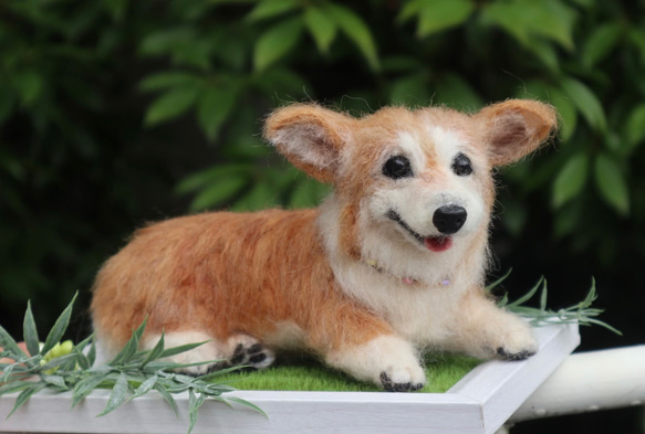 うちのコみたい♡世界で一つのコーギー♡羊毛フェルト　犬　コーギー♡結婚式　メモリアル 2枚目の画像