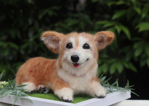 うちのコみたい♡世界で一つのコーギー♡羊毛フェルト　犬　コーギー♡結婚式　メモリアル 4枚目の画像