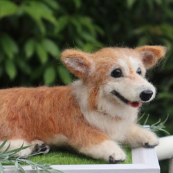 うちのコみたい♡世界で一つのコーギー♡羊毛フェルト　犬　コーギー♡結婚式　メモリアル 5枚目の画像