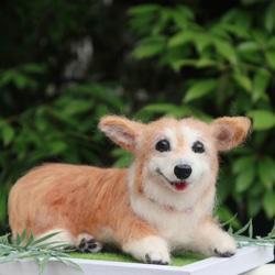 うちのコみたい♡世界で一つのコーギー♡羊毛フェルト　犬　コーギー♡結婚式　メモリアル 6枚目の画像