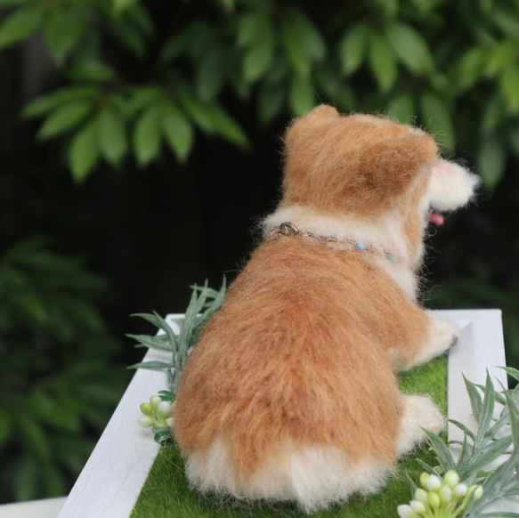 うちのコみたい♡世界で一つのコーギー♡羊毛フェルト　犬　コーギー♡結婚式　メモリアル 7枚目の画像