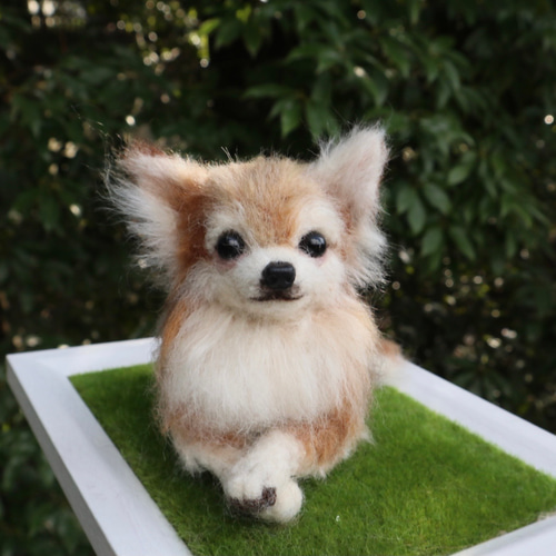 柴犬　◆ハンドメイド　羊毛フェルト　犬　舌出し　26cm 羊毛フェルト 柴犬 おすわり舌出し 羊毛フェルト masapan 通販