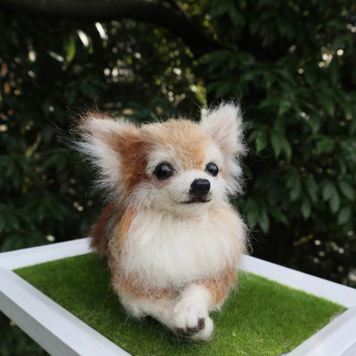 羊毛フェルト　オーダー　チワワ 世界でたったひとつ オーダー 再現 （受注）羊毛フェルト うちの