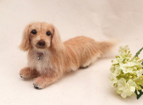 受注製作）♡羊毛フェルト ミニチュアダックス ダックスフンド 羊毛