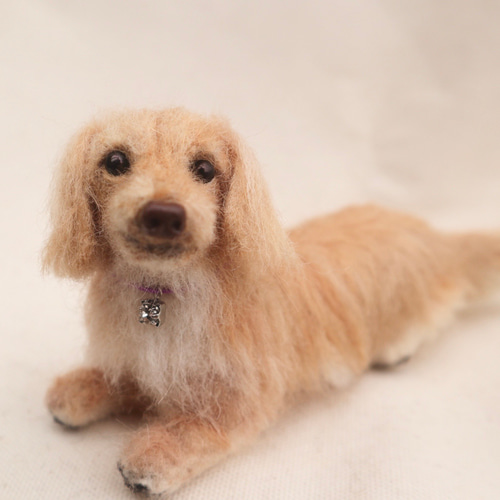 受注製作）♡羊毛フェルト ミニチュアダックス ダックスフンド 羊毛