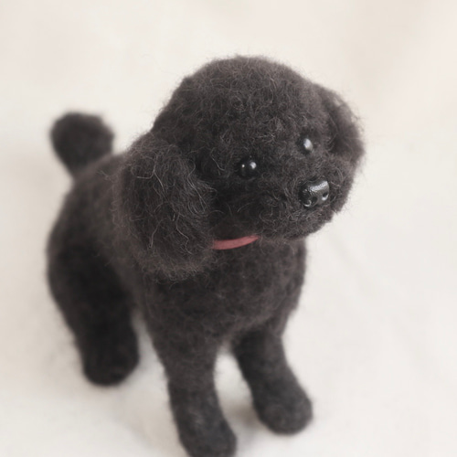 羊毛フェルト 犬 トイプードル ブラック 羊毛フェルト ブラック（黒茶）トイプードル ブローチ ブローチ