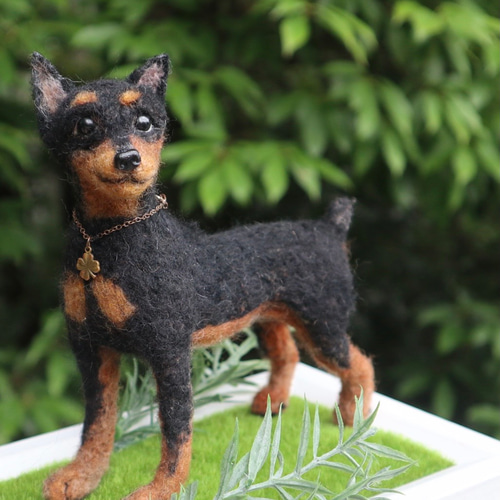 受注制作》羊毛フェルト 犬♡ ミニチュア ピンシャー ♡ 羊毛フェルト