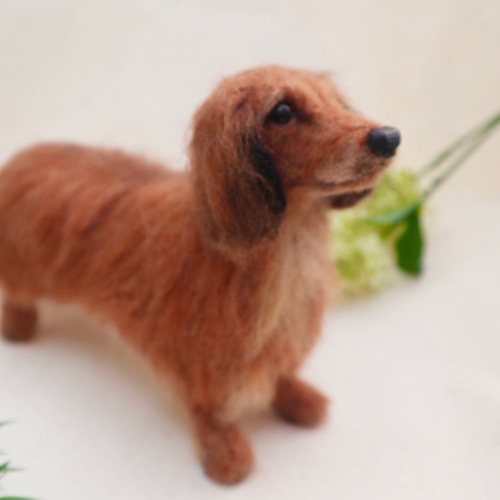 える様　オーダー専用　羊毛フェルト　犬　ミニチュアダックス　パピヨン　ミックス kyo様 オーダー専用 羊毛フェルト 犬 ミニチュアダックスフンド