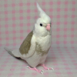 ライフサイズ♪  オカメインコ ★WFパイド ホワイトフェイス  羊毛フェルト オーダーメイド メモリアル　受注作成 1枚目の画像