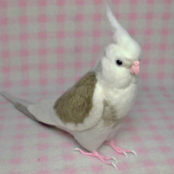 ライフサイズ♪  オカメインコ ★WFパイド ホワイトフェイス  羊毛フェルト オーダーメイド メモリアル　受注作成 2枚目の画像