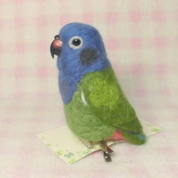 仿藍頭鸚鵡☆夾＆胸針☆羊毛氈★mini Blue-headed Parrot(Pionus)★clip & brooch 第2張的照片