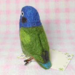 仿藍頭鸚鵡☆夾＆胸針☆羊毛氈★mini Blue-headed Parrot(Pionus)★clip & brooch 第4張的照片