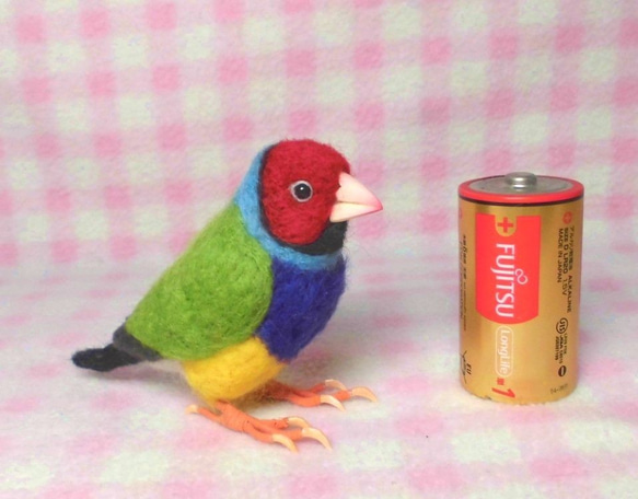 コキンチョウ 胡錦鳥  Gouldian Finch ライフサイズ♪羊毛ぬいぐるみ 羊毛フェルト  受注作成　 1枚目の画像