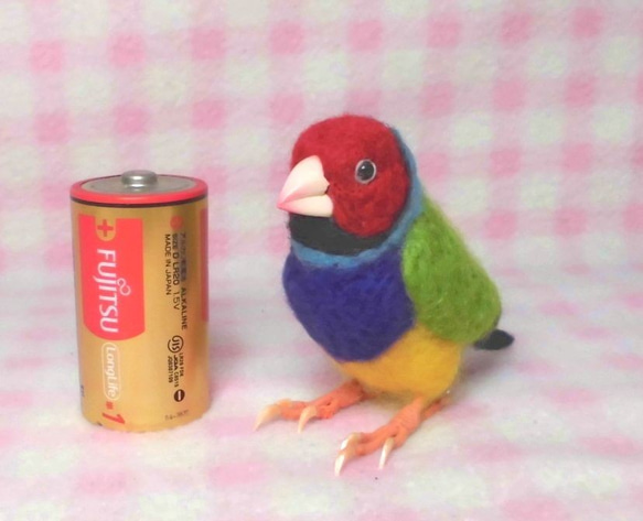 ***現實大小♪　胡锦鸟　胡錦鳥  Gouldian Finch☆羊毛氈*** 第3張的照片