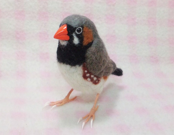 ***現實大小♪斑马雀　斑馬雀　Zebra finch☆羊毛氈*** 第1張的照片