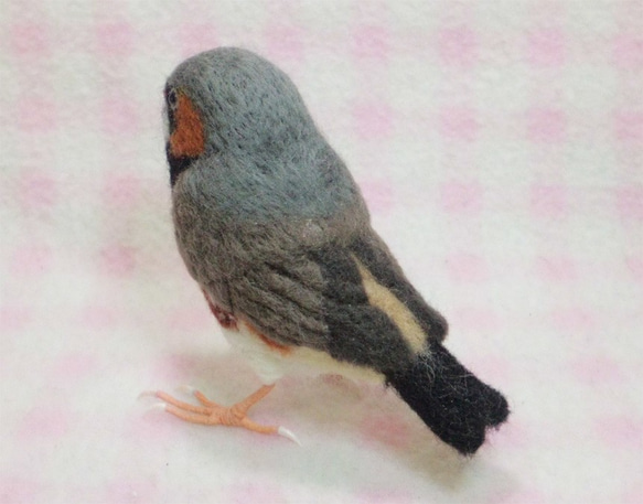 羊毛フェルト ライフサイズ♪ キンカチョウ（錦花鳥、錦華鳥 ）Zebra finch　受注作成　　羊毛インコ　工房小鳥屋 3枚目の画像