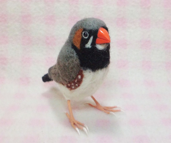 羊毛フェルト ライフサイズ♪ キンカチョウ（錦花鳥、錦華鳥 ）Zebra finch　受注作成　　羊毛インコ　工房小鳥屋 4枚目の画像